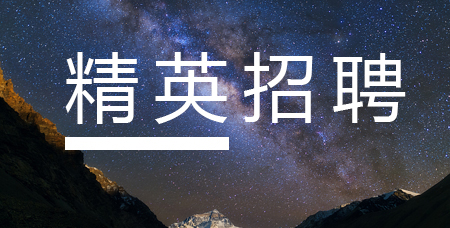 精英招聘